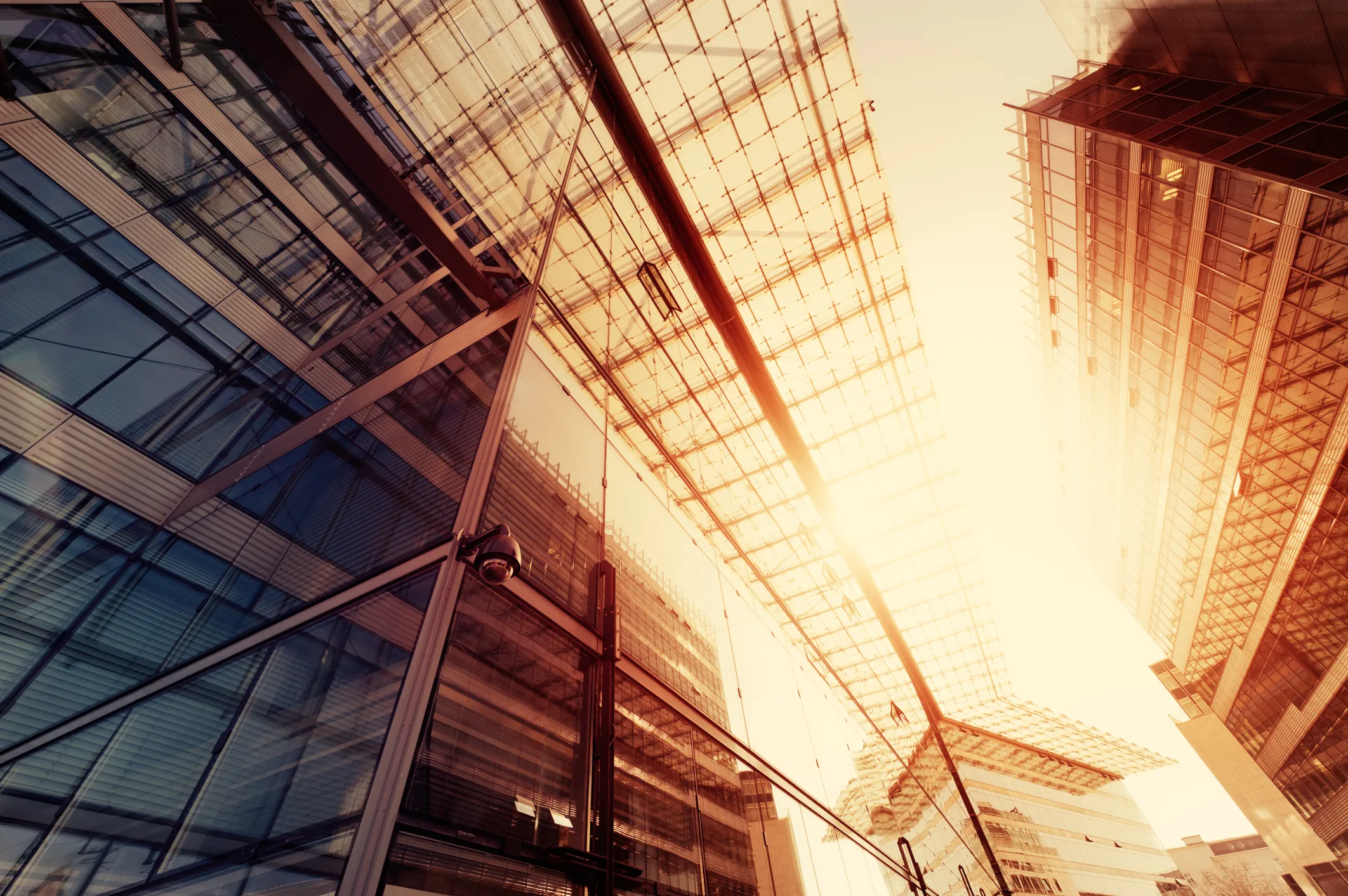 Glass office towers photographed looking up into the sun